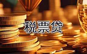 三亚税票贷